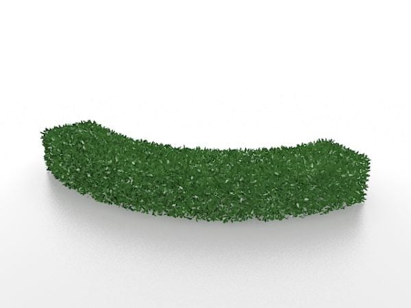 Curved Box Garden Hedge