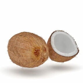 नारियल फल 3डी मॉडल काट कर खोलें