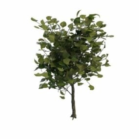 Modello 3d dell'albero decorativo del paesaggio