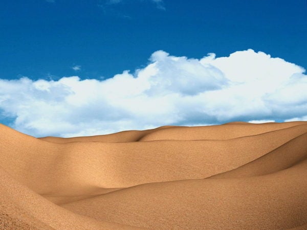 Desert Landscape Scene