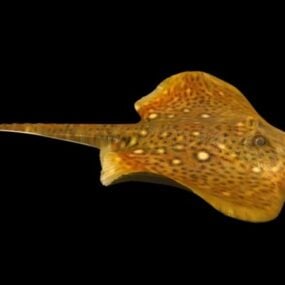 Τρισδιάστατο μοντέλο Wild Devilfish