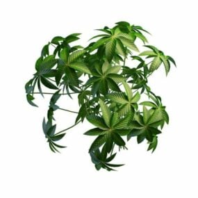 Digitate Leaf Plant Tree 3d-modell