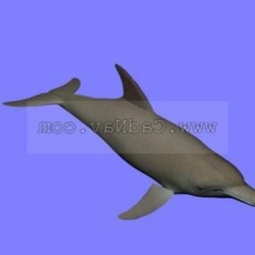 Delphin-Tier-3D-Modell