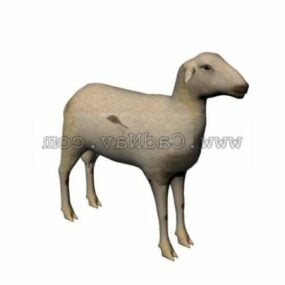 3d модель домашньої вівці