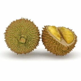 Durian fruit 3D-model