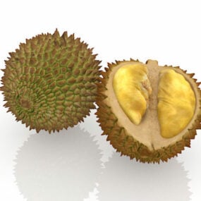 Model 3d Buah Durian Tropis