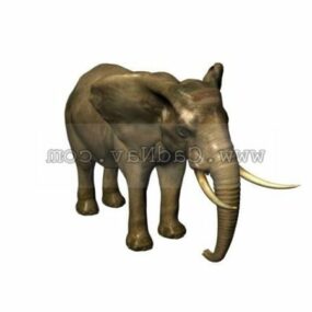 3d модель дикого слона