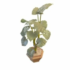 Modello 3d della pianta dell'orecchio di elefante in vaso