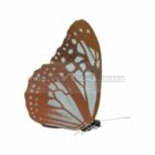 Dierlijke Hecabe-vlinder