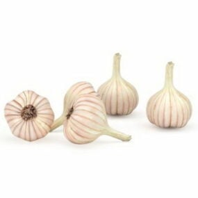 Vegetables European Garlic 3d model