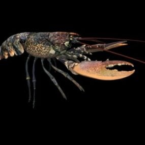 动物欧洲龙虾3d模型