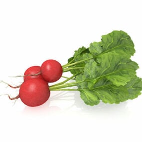 Nature Red Radish Vegetable 3d model