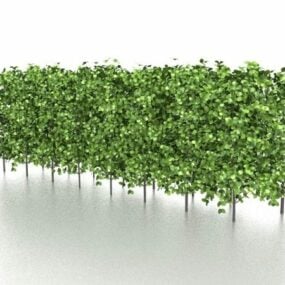 3д модель вечнозеленых садовых растений для живой изгороди