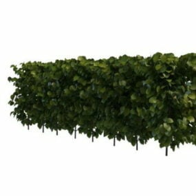 庭のイボタノキ生垣植物 3D モデル