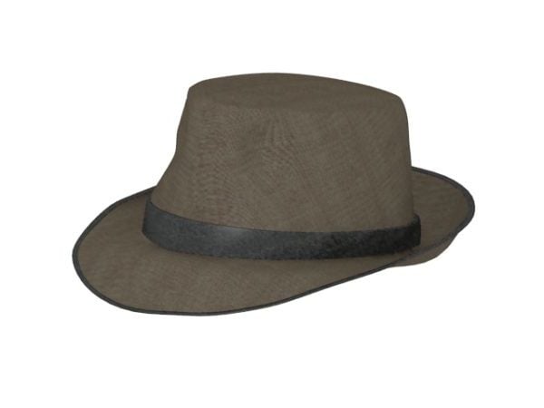 Шляпа директора. Фетровая шляпа 3d модель. 3 Шляпы. Фетровая шляпа Кавалерийская. Шляпа Федора сбоку.