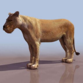 Mô hình 3d sư tử cái Châu Phi