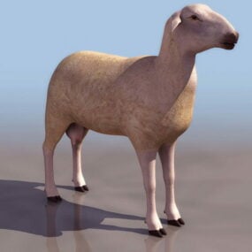 Model 3D samicy owcy zwierzęcej