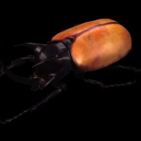 Model 3d Kumbang Badak Bertanduk Lima Liar