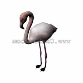 Wild Flamingo Animal 3d-model