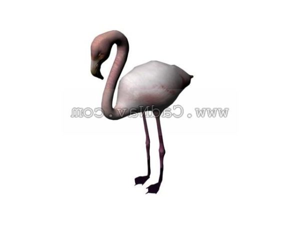 Hewan Flamingo Liar