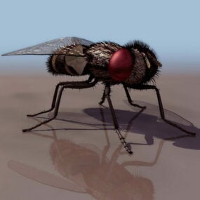 Modello 3d della mosca della carne animale