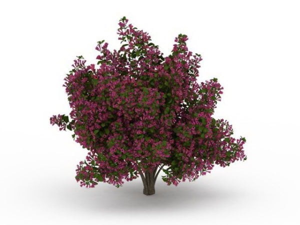 Red Flower Blooming Plant Tree