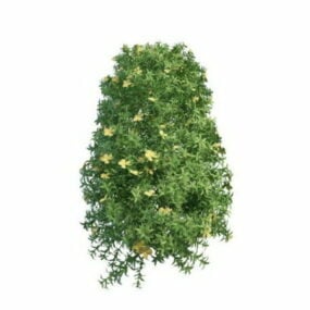 Kvetoucí kapradina rostlina strom 3D model