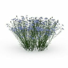 Garden Flowering Grass Plants 3d model