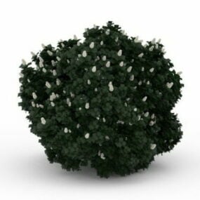 風景庭園の開花低木3Dモデル