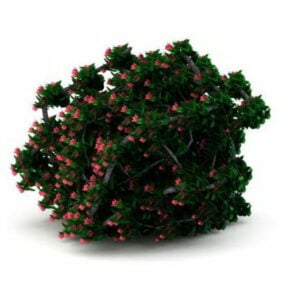 庭の開花低木植物3Dモデル