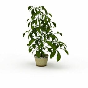 Gebladerte boomplant in pot 3D-model