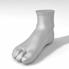 Man Foot Mannequin 3d model