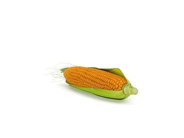 Fresh Corn Vegetables