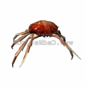 Wild Fresh Crab Animal 3d model