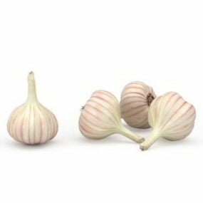 Nature Fresh Garlic 3d model