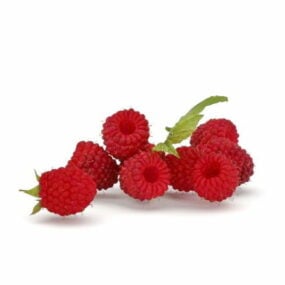 Mulberry Fruit 3d model
