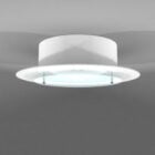Frosted Glass Home Ceiling Light