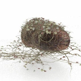 Πέτρα κήπου με αναρριχώμενο φυτό τρισδιάστατο μοντέλο