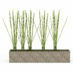 Ogród zielony bambus w doniczce Model 3D