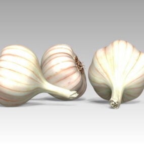 Realistic Garlic Head 3d model