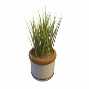 Balcony Grass In Pot 3d model