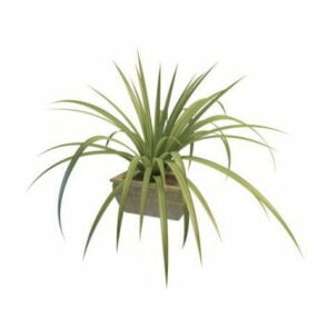Potted Grass Indoor Plants 3d model