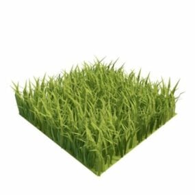 Grass Squares 3d model