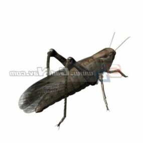 Animal Grasshopper 3d model