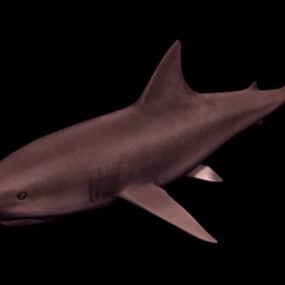 Тварина велика біла акула 3d модель
