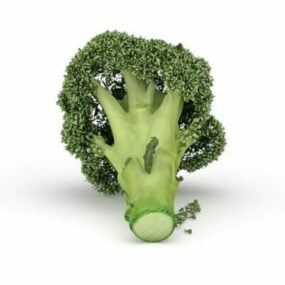 3д модель овоща брокколи