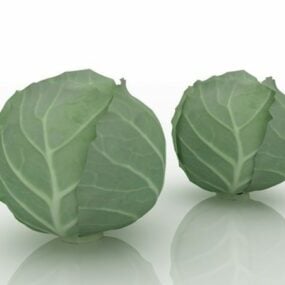 Green Cabbage Vegetable 3d model