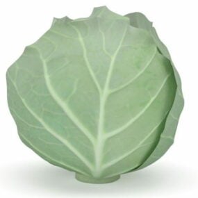 Nature Cabbage Vegetable 3d model