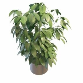Gröna lövväxter 3d-modell