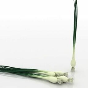 Green Onion Vegetable 3d model